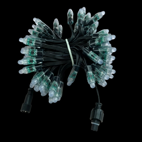 DHL/FEDEX/UPS FREE SHIPPING 1000pcs 100ct DC12V WS28...