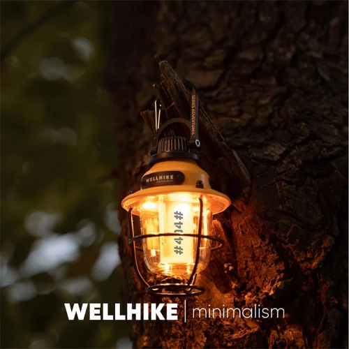 WELLHIKE Outdoor Lock Loose Fruit Lamp Ultra -Long C...