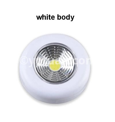 white shell