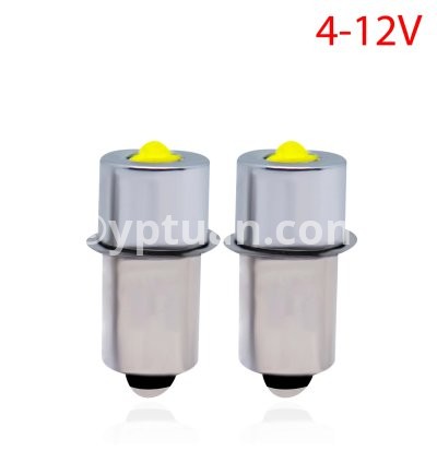 4-12V P13.S5 White