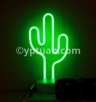Cactus