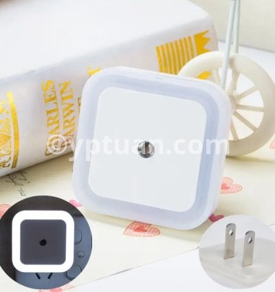 US  Plug White