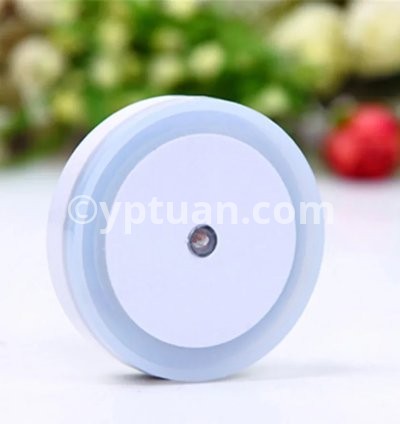 Round-White