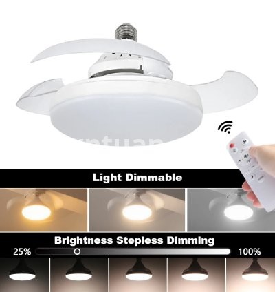 Fan Light