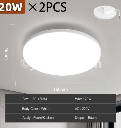 2PCS 20W White B
