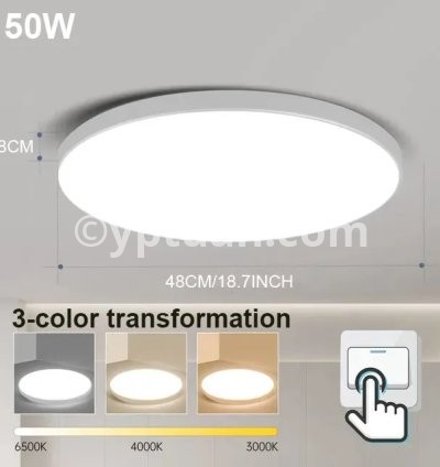 50W White 3 Color