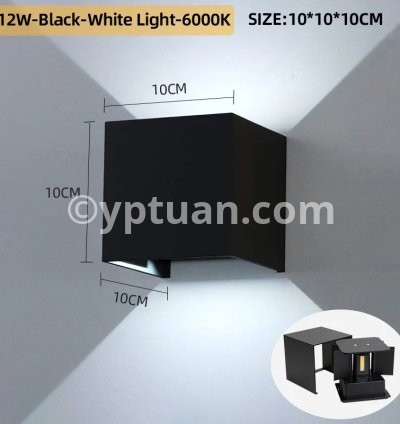 12W-BLK-White light