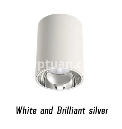 White and silver