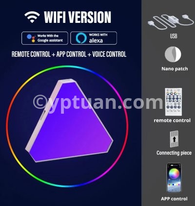 WIFI voice version