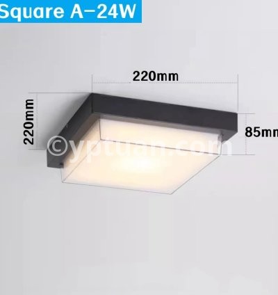 Square A 24W