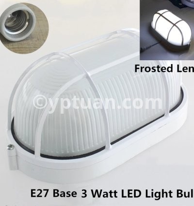 Oval Frosted 3W