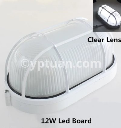 Oval Clear 12W