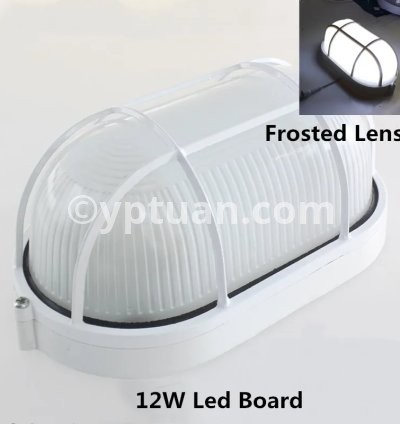 Oval Frosted 12W