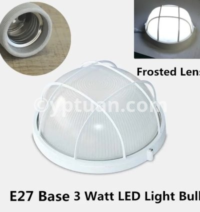 Round Frosted 3W