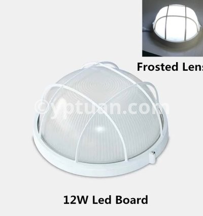 Round Frosted 12W