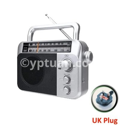 Silver UK PLUG