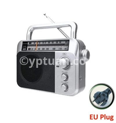 Silver EU PLUG