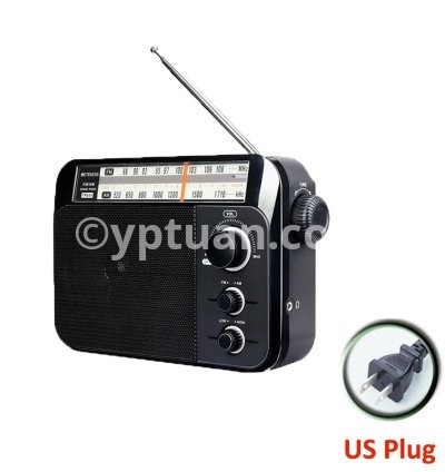 Black US PLUG