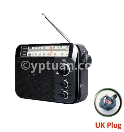 Black UK PLUG