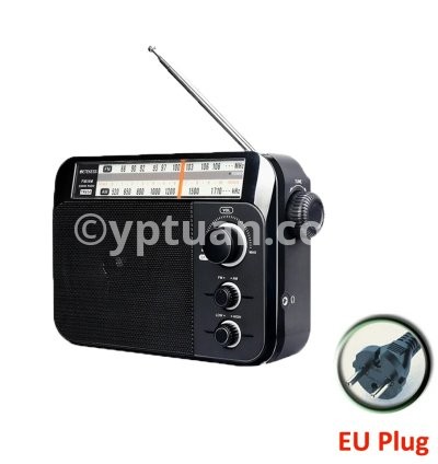 Black EU PLUG