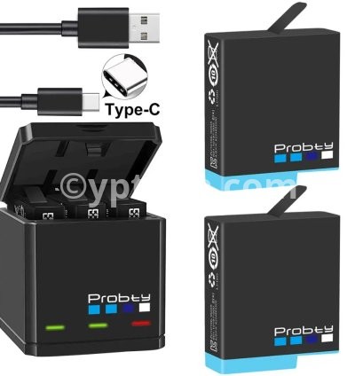 2BatteryWithCharger