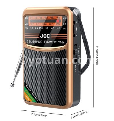 TG-66 Gold