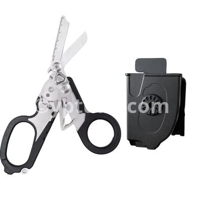 Black and scabbard