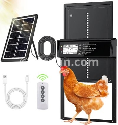 Solar Chicken Door