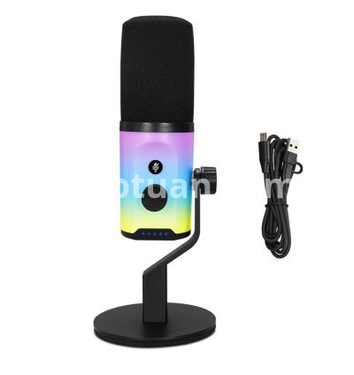 condenser microphone