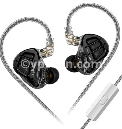 ZAR mic