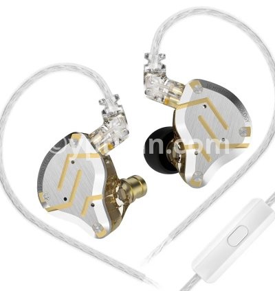 ZS10 Pro Gold Mic
