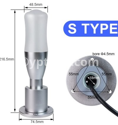 S type