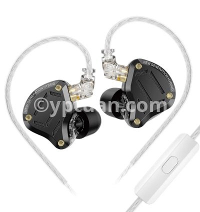 ZS10 Pro 2  MIC