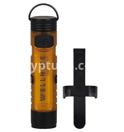 Dark Brown No Buckle